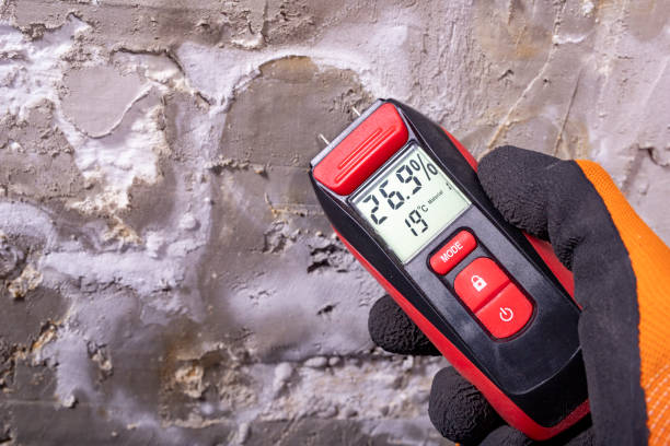 Best Preventive Mold Services in Sand Springs, OK